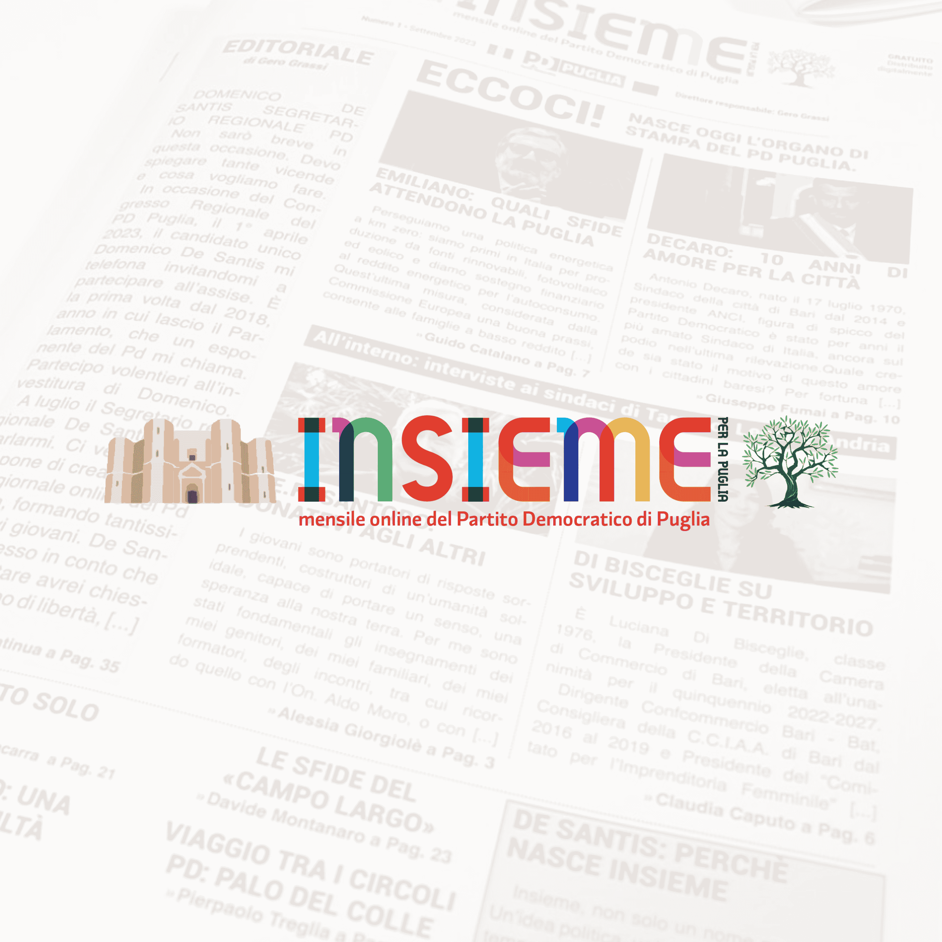 Logo INSIEME